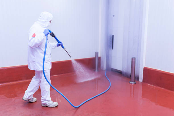 Boat and Dock Cleaning in Marine, IL